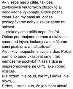 13335562_185353505198808_6865587030241408500_n