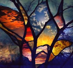 13342923_980383328746729_6183731180085797494_n