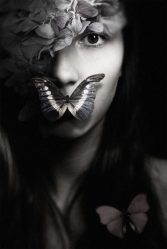 13407327_739346272872139_388182455307072856_n