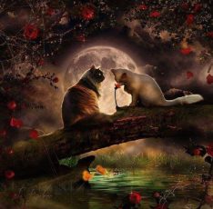 13512132_958699944253366_6930042319320421936_n