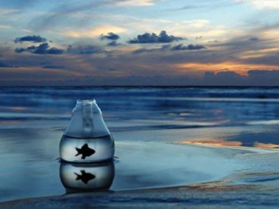 Zavrznutú energiu treba&nbsp;rozhýbať