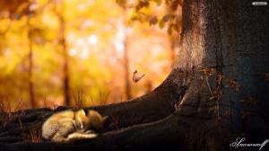 13939576_1587516234882723_6864691757110102049_n