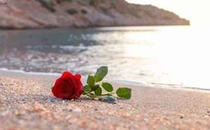 14022177_1037629123022149_4490367070112039946_n