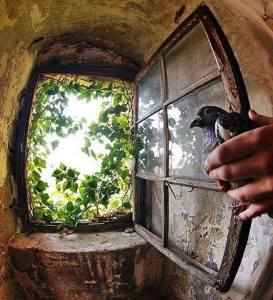 14265075_565178453665609_8165024091646931670_n