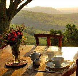 14117823_1040167756101619_7318453757489460514_n