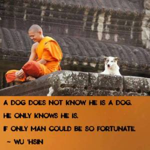 14292441_10210522513364076_5826078233298454032_n