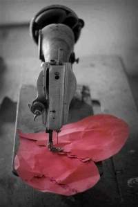 14344946_10210666180641076_7207937474815666048_n