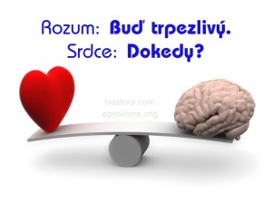 rozum-srdce
