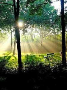 14440848_1142729079139447_246019379094085268_n