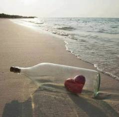 14517459_318777835154247_6728598470064876803_n