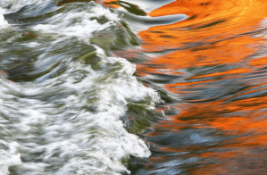 screen-shot-2014-06-23-at-2-32-29-pm