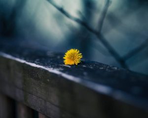 1487336_687467367972895_68116964_n