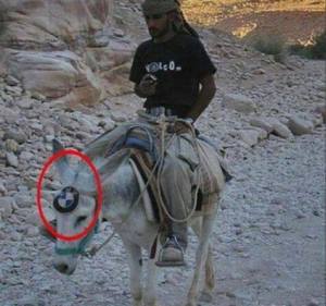 15542152_1464554603574218_7627253467236884315_n