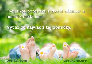pomlcka