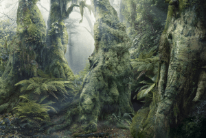 the-rainforest-of-hidden-animals-optical-illusion