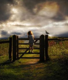 10680472452701774059