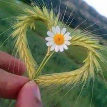 13254620_1053654838063968_3462434310613619966_n