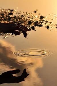 1554601_700867209966244_1638897387_n