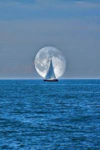 15826189_705929176235068_6635153522656261894_n