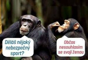 16142249_1179240155517362_2778610853506851256_n