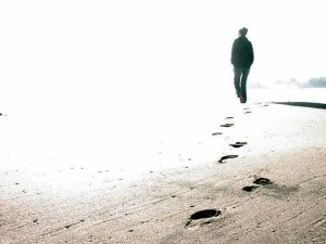 14100324_964780183648433_3802630022368989993_n