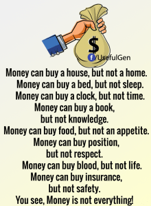 16473049_1681977565434423_5589619180663718253_n