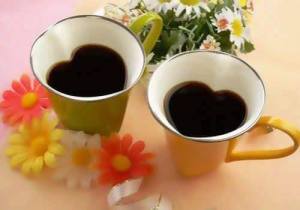 16865098_1850986845165955_4412645064600816994_n