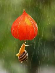 by-vyacheslav-mishchenko12