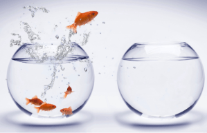 how-to-get-out-of-your-comfort-zone-e1451425107124