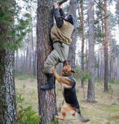 Featured Image -- 44910