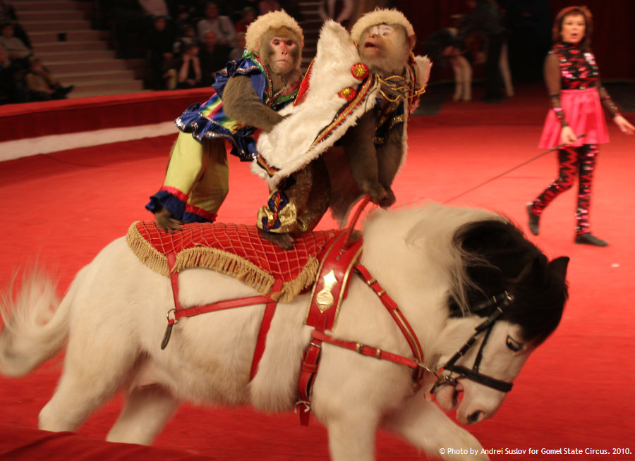 Zodpovedáme len za&nbsp;seba