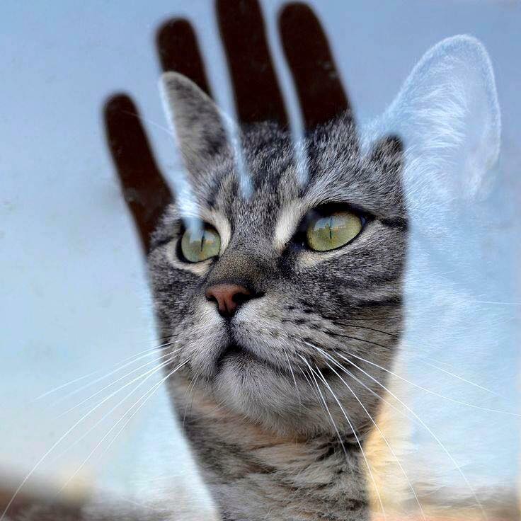 Aby neskresľovali svet a naše miesto v&nbsp;ňom