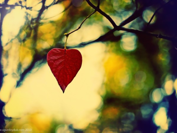 Kontakt so zosnulým