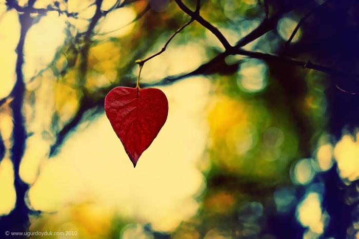 Kontakt so zosnulým