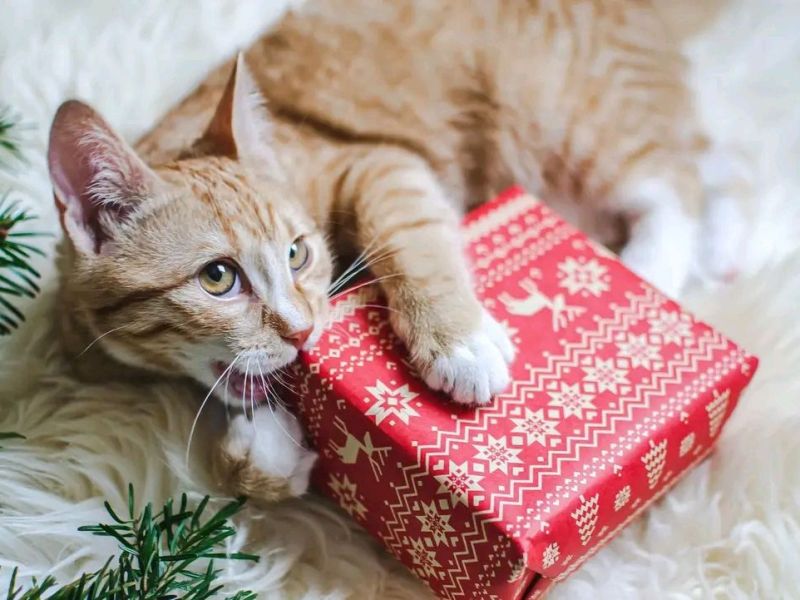 “To vychádza len iným…”